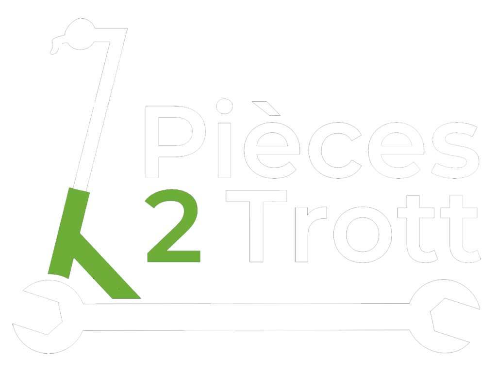 LOGO-NEW-P2T-4-BLANC-copie